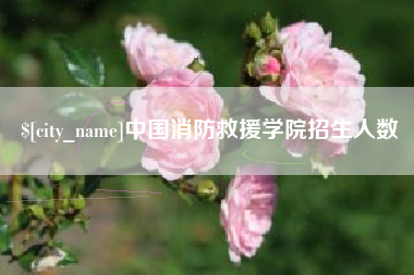 浙江中国消防救援学院招生人数
