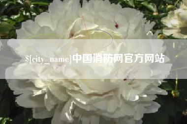 浙江中国消防网官方网站
