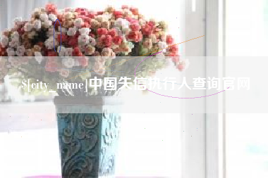 浙江中国失信执行人查询官网