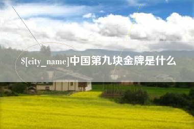 浙江中国第九块金牌是什么