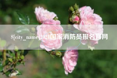 浙江2021国家消防员报名官网