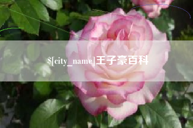 浙江王子豪百科