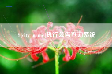 浙江执行公告查询系统