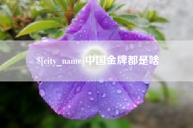浙江中国金牌都是啥