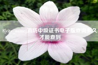 浙江消防中级证书电子版查询多久才能查到