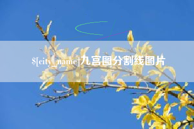 浙江九宫图分割线图片