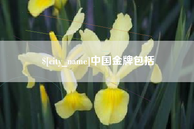 浙江中国金牌包括