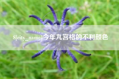 浙江今年九宫格的不利颜色