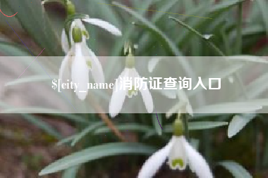 浙江消防证查询入口