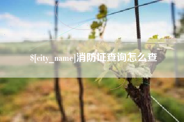 浙江消防证查询怎么查