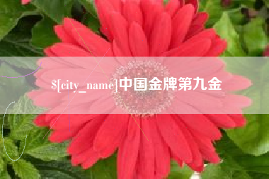 浙江中国金牌第九金