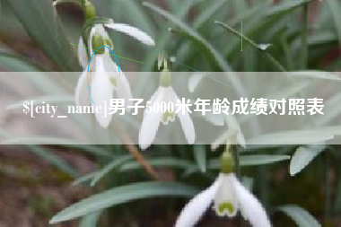 浙江男子5000米年龄成绩对照表
