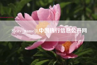 浙江1.中国执行信息公开网