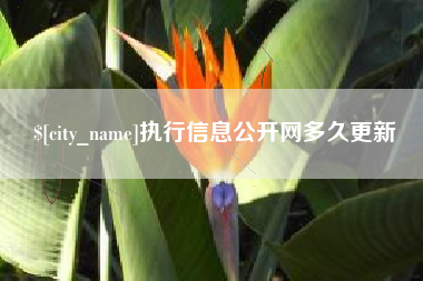 浙江执行信息公开网多久更新