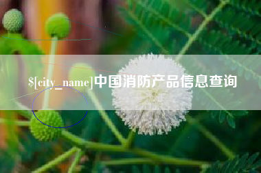 浙江中国消防产品信息查询