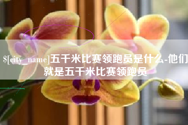 浙江五千米比赛领跑员是什么-他们就是五千米比赛领跑员