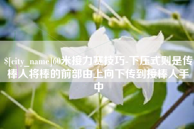 浙江60米接力赛技巧-下压式则是传棒人将棒的前部由上向下传到接棒人手中