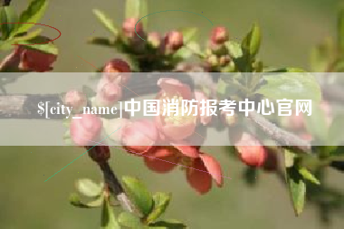 浙江中国消防报考中心官网