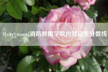 浙江消防救援学院内部招生分数线