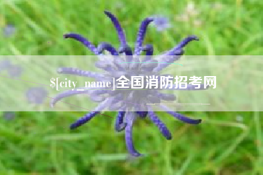 浙江全国消防招考网