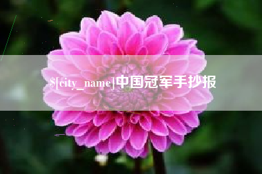 浙江中国冠军手抄报