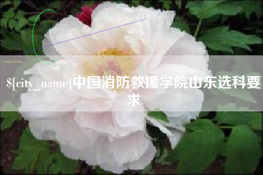 浙江中国消防救援学院山东选科要求