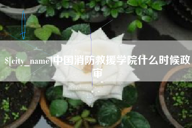 浙江中国消防救援学院什么时候政审