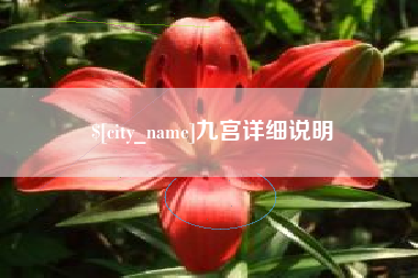 浙江九宫详细说明