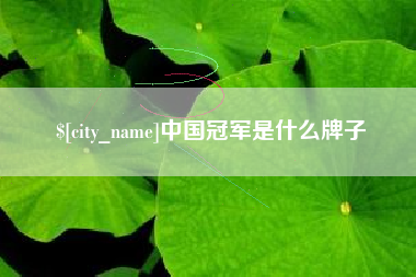 浙江中国冠军是什么牌子
