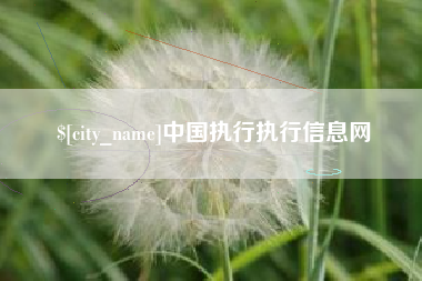 浙江中国执行执行信息网