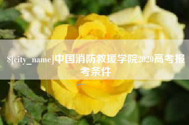 浙江中国消防救援学院2020高考报考条件
