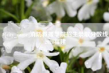 浙江消防救援学院招生录取分数线2020福建