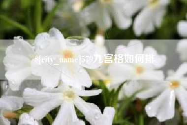 浙江579九宫格如何排