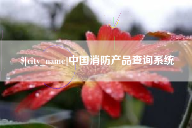 浙江中国消防产品查询系统