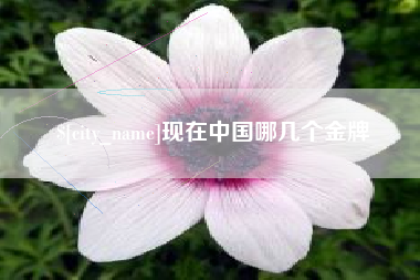 浙江现在中国哪几个金牌