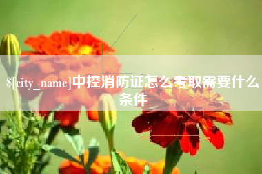 浙江中控消防证怎么考取需要什么条件