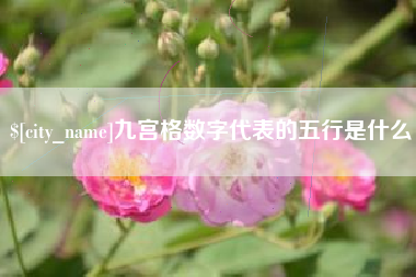 浙江九宫格数字代表的五行是什么