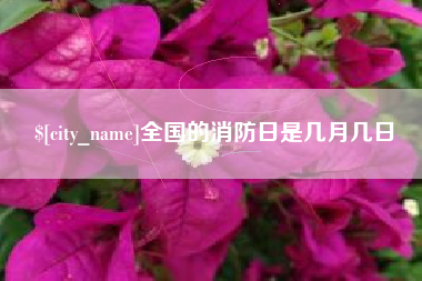 浙江全国的消防日是几月几日