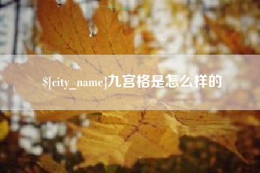 浙江九宫格是怎么样的