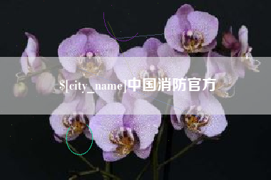 浙江中国消防官方