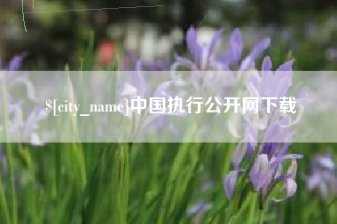 浙江中国执行公开网下载