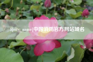 浙江中国消防官方网站域名
