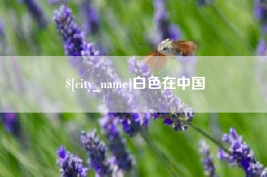 浙江白色在中国
