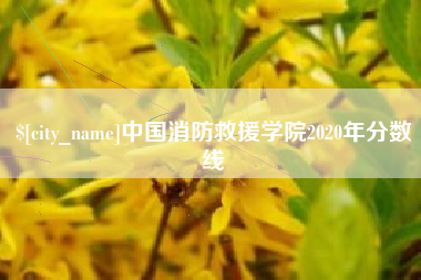 浙江中国消防救援学院2020年分数线