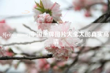 浙江中国金牌图片大全大图真实高清