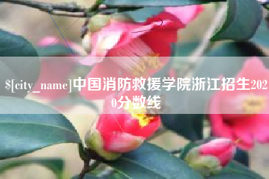 浙江中国消防救援学院浙江招生2020分数线