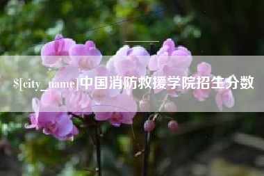 浙江中国消防救援学院招生分数