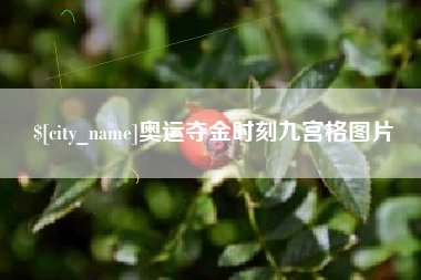 浙江奥运夺金时刻九宫格图片
