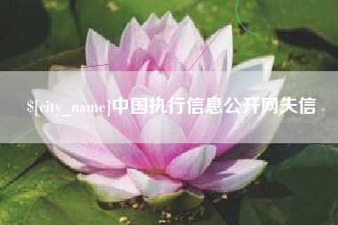 浙江中国执行信息公开网失信