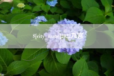 浙江2022九宫